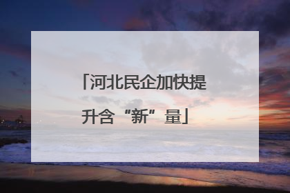 河北民企加快提升含“新”量