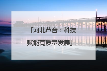 河北芦台：科技赋能高质量发展