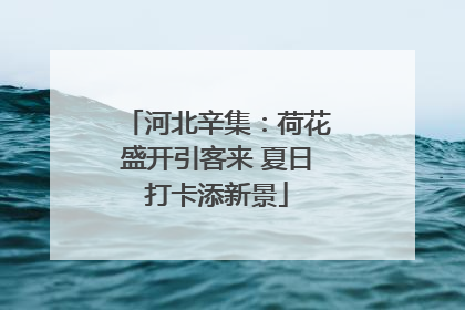 河北辛集：荷花盛开引客来 夏日打卡添新景