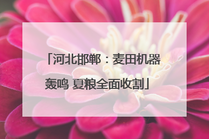 河北邯郸：麦田机器轰鸣 夏粮全面收割