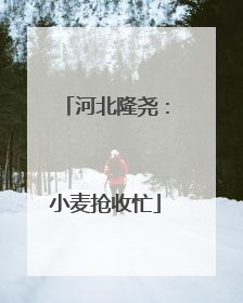 河北隆尧：小麦抢收忙