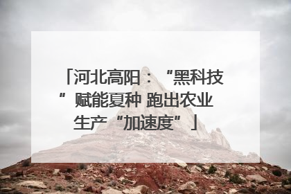 河北高阳：“黑科技”赋能夏种 跑出农业生产“加速度”