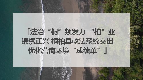 法治“桐”频发力 “柏”业锦绣正兴 桐柏县政法系统交出优化营商环境“成绩单”