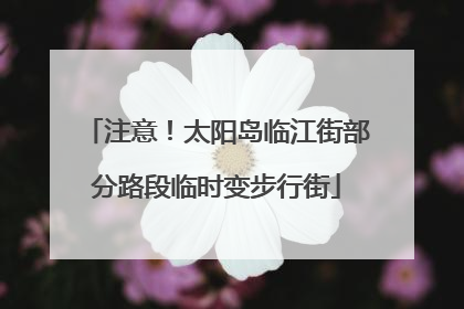 注意！太阳岛临江街部分路段临时变步行街