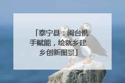 泰宁县：闽台携手赋能，绘就乡建乡创新图景