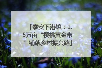 泰安下港镇：1.5万亩“樱桃黄金带”铺就乡村振兴路
