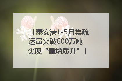 泰安港1-5月集疏运量突破600万吨 实现“量增质升”