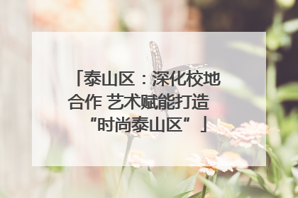 泰山区：深化校地合作 艺术赋能打造“时尚泰山区”