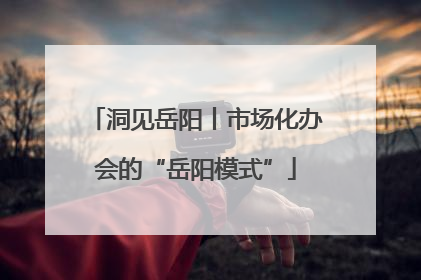 洞见岳阳丨市场化办会的“岳阳模式”