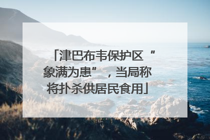 津巴布韦保护区“象满为患”，当局称将扑杀供居民食用