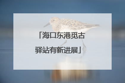 海口东港觅古驿站有新进展