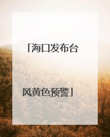 海口发布台风黄色预警