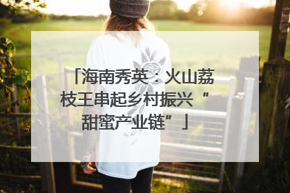 海南秀英：火山荔枝王串起乡村振兴“甜蜜产业链”