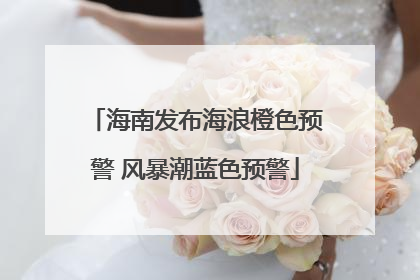 海南发布海浪橙色预警 风暴潮蓝色预警