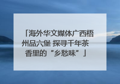 海外华文媒体广西梧州品六堡 探寻千年茶香里的“乡愁味”