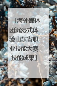 海外媒体团沉浸式体验山东省职业技能大赛技能成果