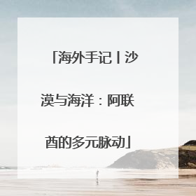 海外手记丨沙漠与海洋：阿联酋的多元脉动