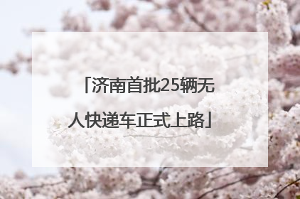 济南首批25辆无人快递车正式上路