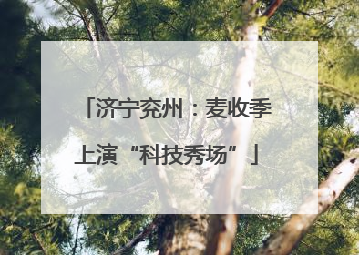 济宁兖州：麦收季上演“科技秀场”