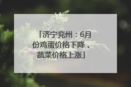济宁兖州：6月份鸡蛋价格下降，蔬菜价格上涨
