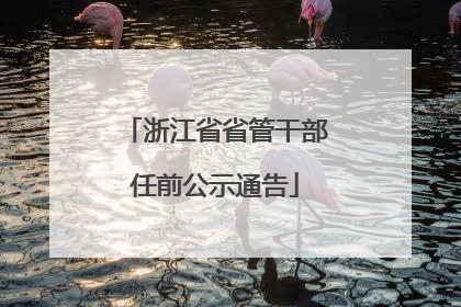 浙江省省管干部任前公示通告