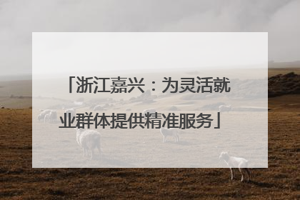 浙江嘉兴：为灵活就业群体提供精准服务