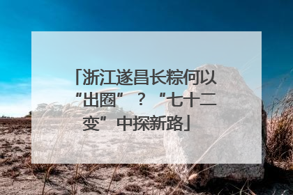 浙江遂昌长粽何以“出圈”？“七十二变”中探新路