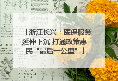 浙江长兴：医保服务延伸下沉 打通政策惠民“最后一公里”