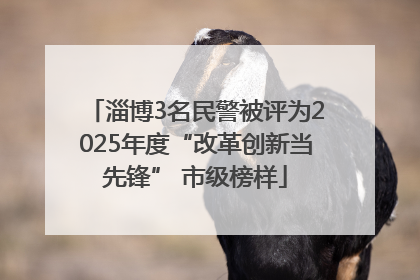 淄博3名民警被评为2025年度“改革创新当先锋” 市级榜样