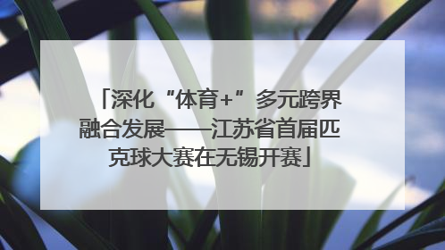 深化“体育+”多元跨界融合发展——江苏省首届匹克球大赛在无锡开赛