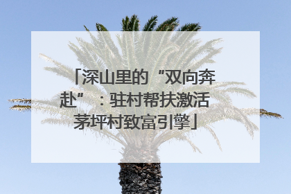 深山里的“双向奔赴”：驻村帮扶激活茅坪村致富引擎