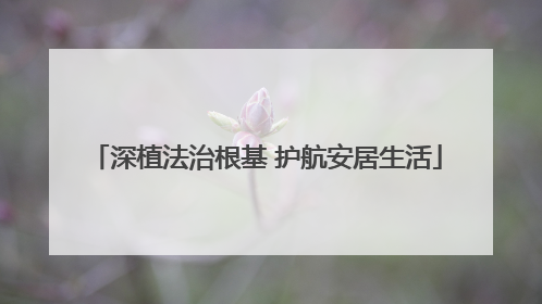 深植法治根基 护航安居生活