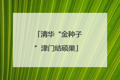 清华“金种子”津门结硕果