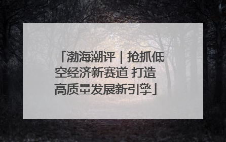 渤海潮评｜抢抓低空经济新赛道 打造高质量发展新引擎