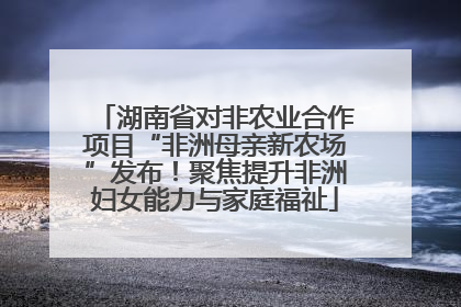 湖南省对非农业合作项目“非洲母亲新农场”发布！聚焦提升非洲妇女能力与家庭福祉