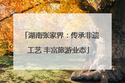 湖南张家界：传承非遗工艺 丰富旅游业态
