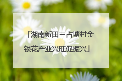湖南新田三占塘村金银花产业兴旺促振兴