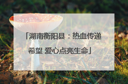 湖南衡阳县：热血传递希望 爱心点亮生命