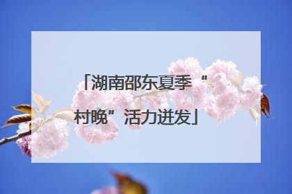 湖南邵东夏季“村晚”活力迸发