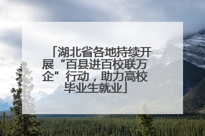 湖北省各地持续开展“百县进百校联万企”行动，助力高校毕业生就业