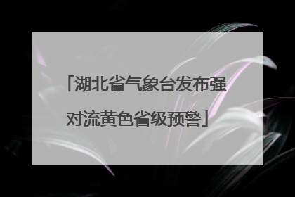 湖北省气象台发布强对流黄色省级预警
