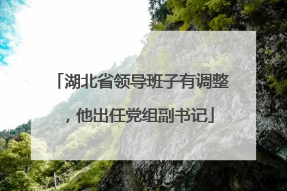 湖北省领导班子有调整，他出任党组副书记