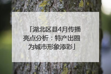 湖北区县4月传播亮点分析：特产出圈为城市形象添彩