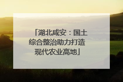 湖北咸安：国土综合整治助力打造现代农业高地