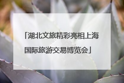 湖北文旅精彩亮相上海国际旅游交易博览会