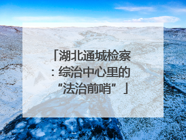 湖北通城检察：综治中心里的“法治前哨”