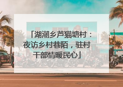 湖潮乡芦猫塘村：夜访乡村巷陌，驻村干部情暖民心