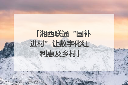 湘西联通“国补进村”让数字化红利惠及乡村