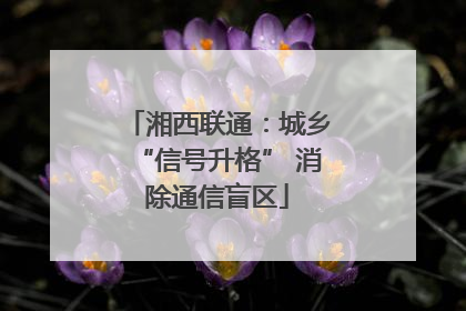 湘西联通：城乡“信号升格” 消除通信盲区