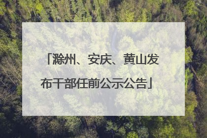 滁州、安庆、黄山发布干部任前公示公告